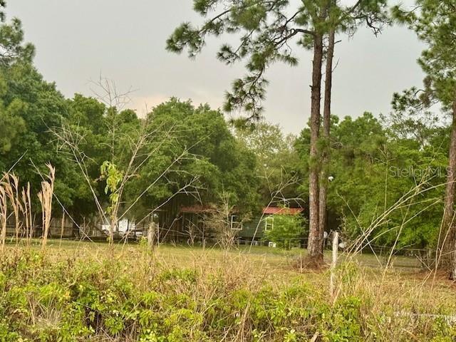 Amazing Land